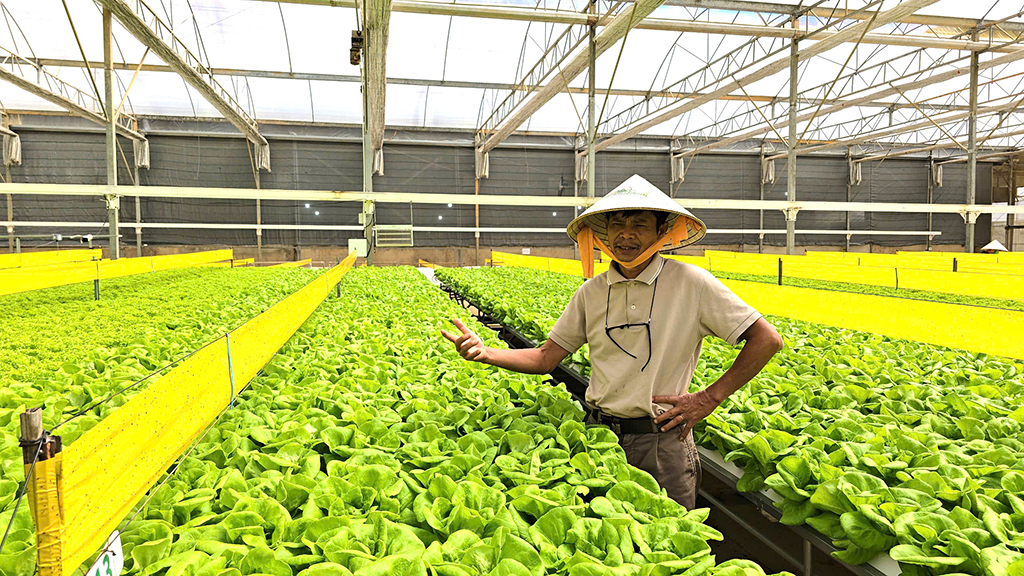 Ứng dụng chuyển đổi số trồng rau xuất khẩu- Ảnh 4. Ứng dụng chuyển đổi số trồng rau xuất khẩu- Ảnh 4.