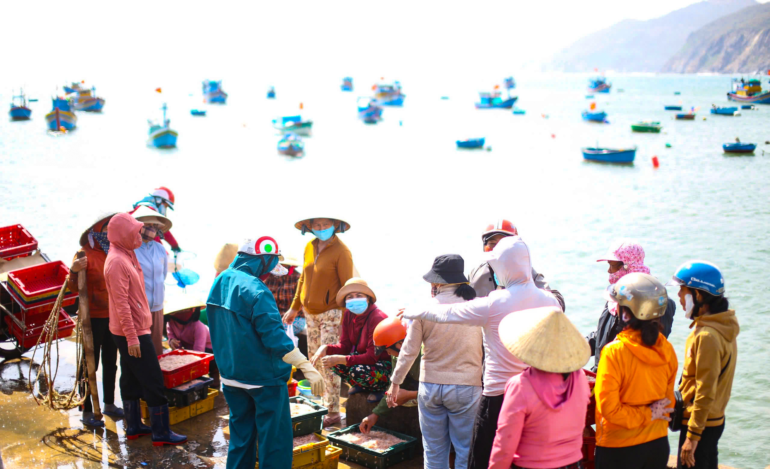 Cá đầy khoang, ngư dân Bình Định trúng 'lộc biển' thu tiền triệu sau mỗi chuyến tàu- Ảnh 3.