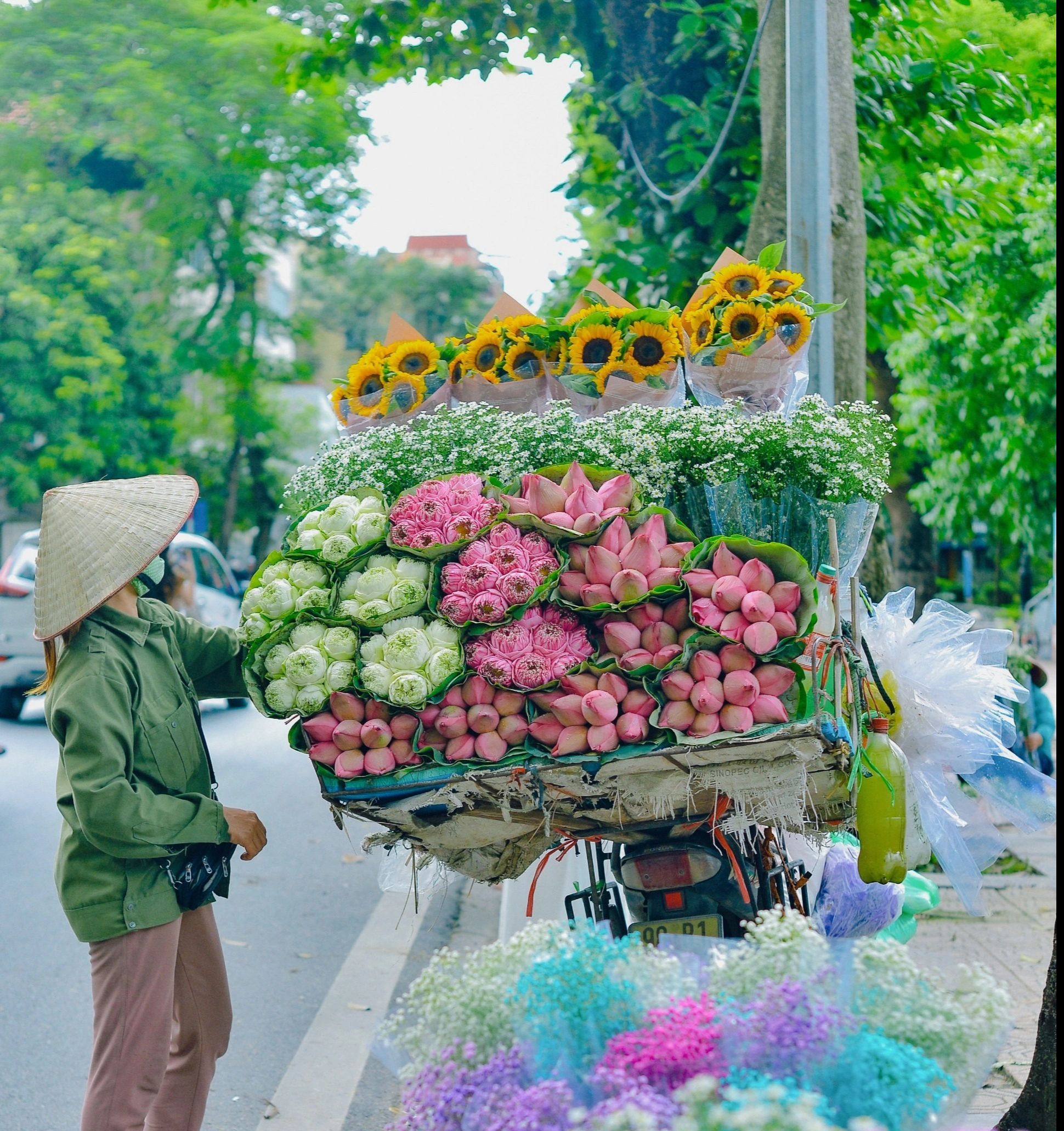 ' Thanh xuân sống ở Việt Nam: Hồi ức và đổi thay sau 15 năm Trở lại ' - Ảnh 1.