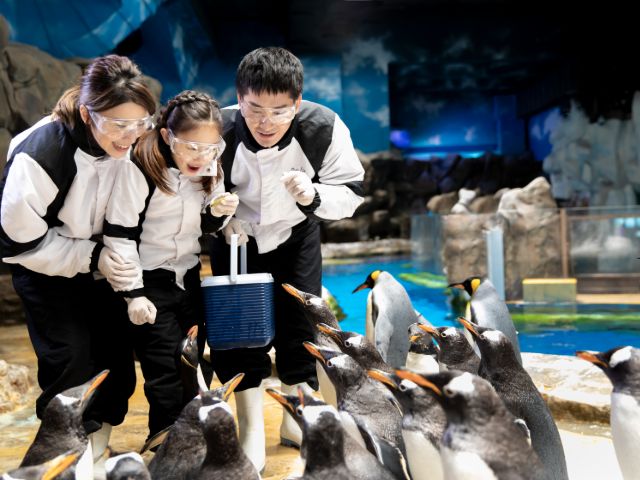 Chuyến đi trong ngày hoàn hảo cho gia đình tới Ocean Park ngắm gấu trúc - Ảnh 4.