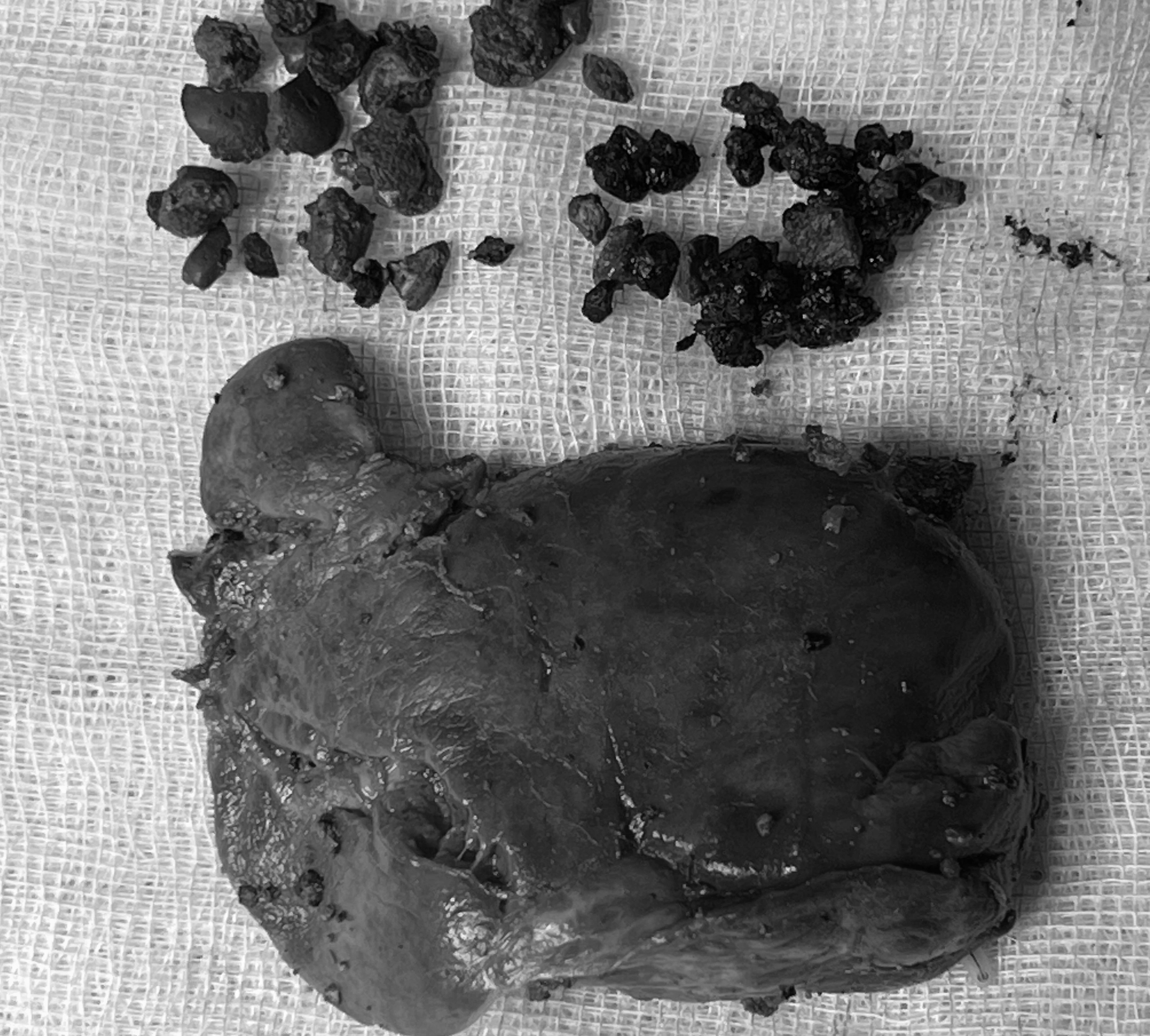 - Фото 1.  - Ảnh 1.