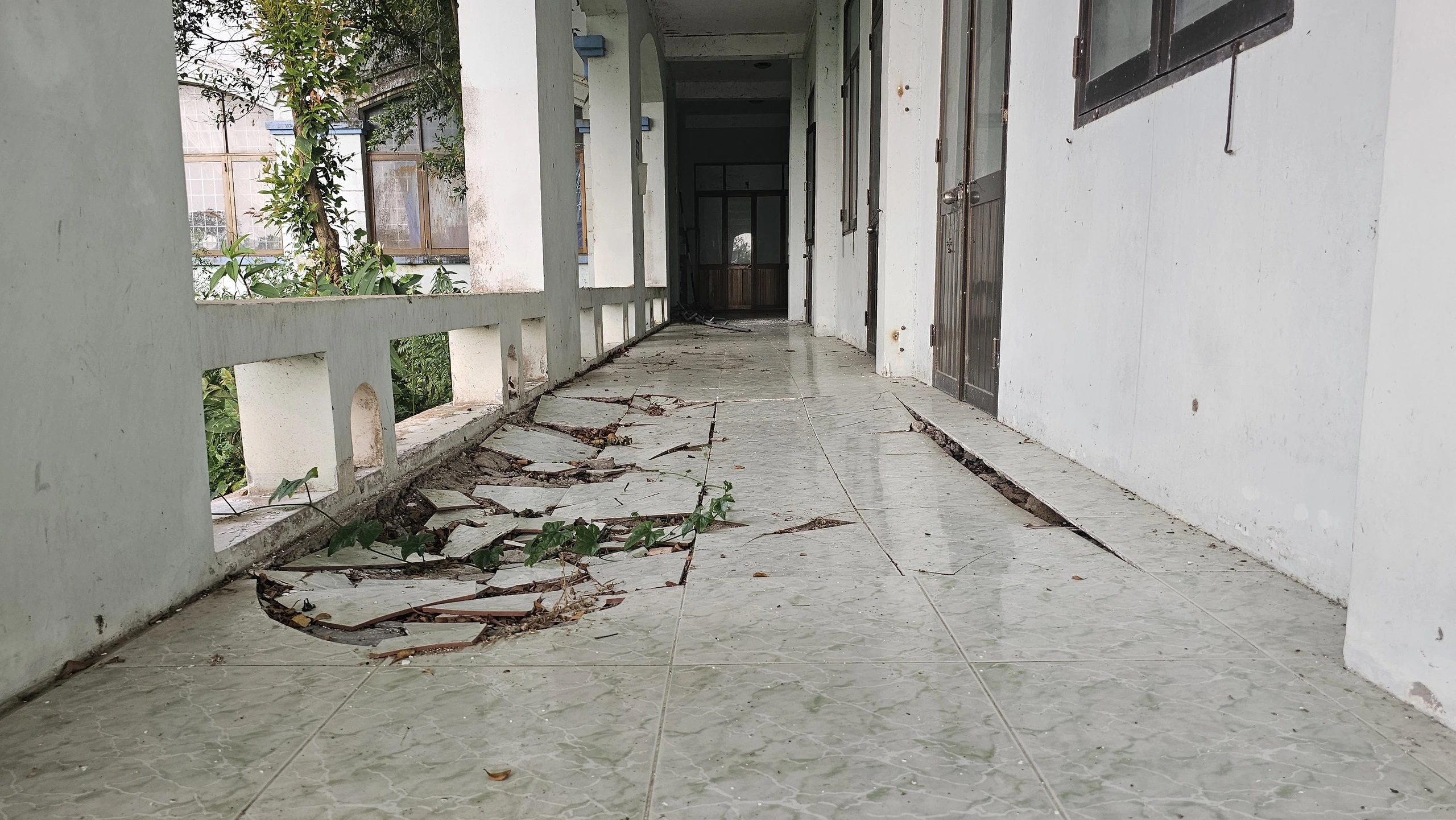Bỏ hoang cơ sở đại học hàng chục tỉ đồng tại Trà Vinh - Ảnh 2. Bỏ hoang cơ sở đại học hàng chục tỉ đồng tại Trà Vinh - Ảnh 2.
