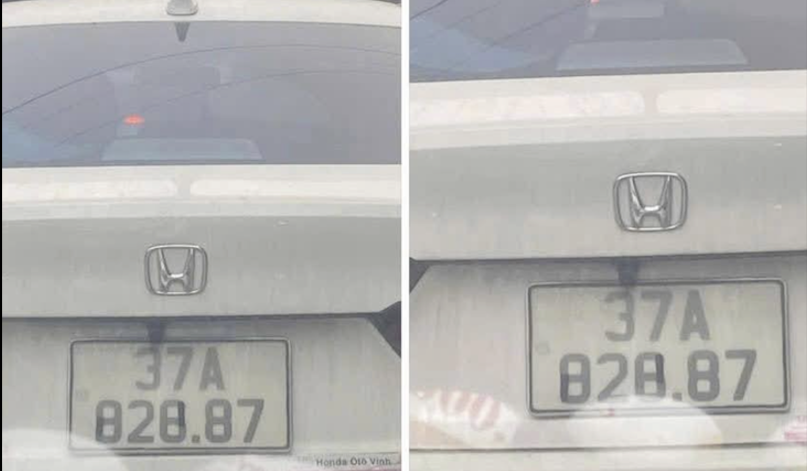 - Ảnh 1. - Ảnh 1.
