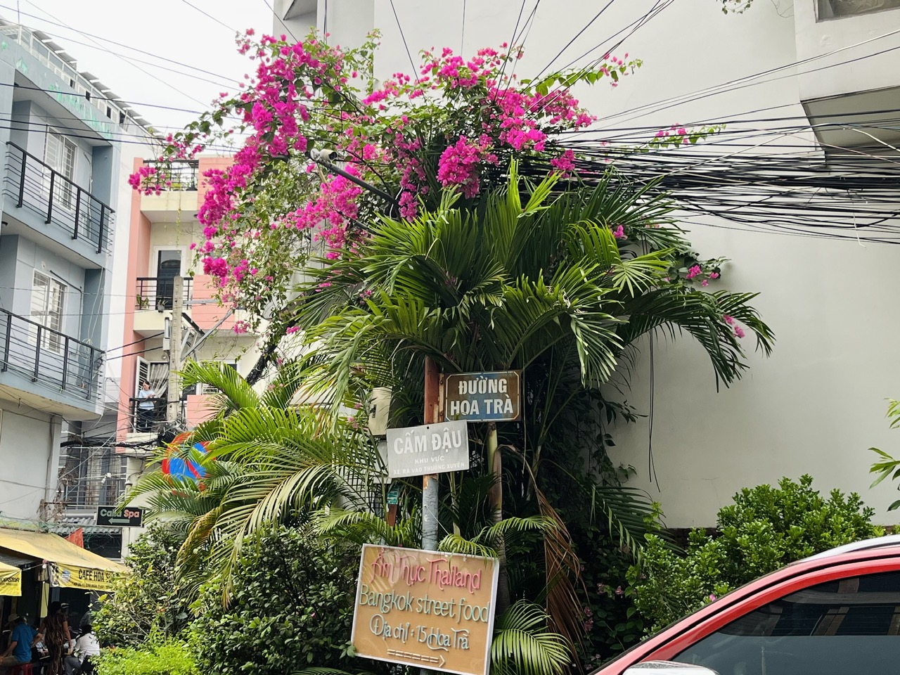 Sống ở TP.HCM: Độc lạ 13 'đường hoa' nhưng rất ít trồng hoa
- Ảnh 10. Sống ở TP.HCM: Độc lạ 13 'đường hoa' nhưng rất ít trồng hoa
- Ảnh 10.