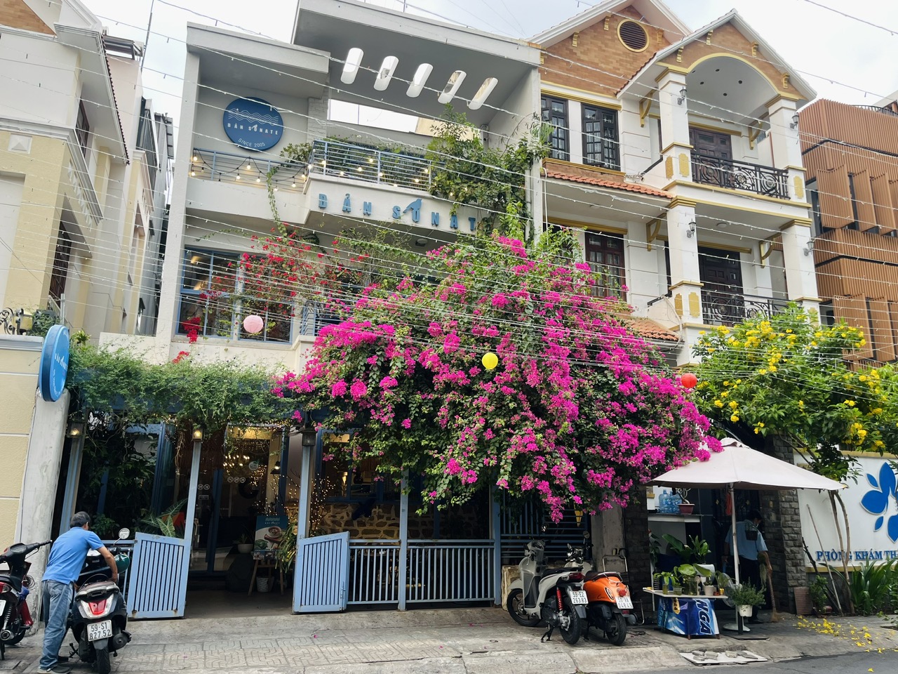 Sống ở TP.HCM: Độc lạ 13 'đường hoa' nhưng rất ít trồng hoa
- Ảnh 9. Sống ở TP.HCM: Độc lạ 13 'đường hoa' nhưng rất ít trồng hoa
- Ảnh 9.