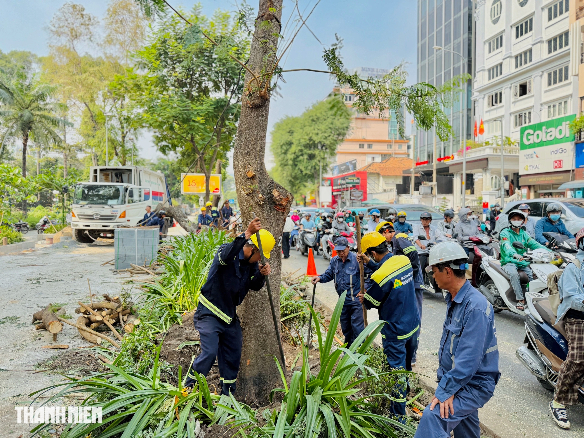 Cải tạo vỉa hè làm đứt rễ, phải đốn hạ hàng loạt cây xanh ở TP.HCM - Ảnh 11.