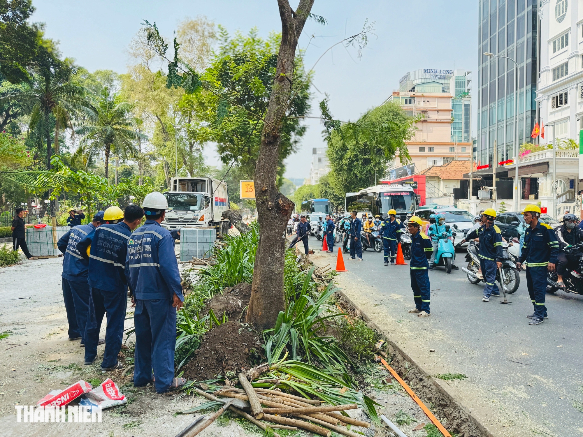 Cải tạo vỉa hè làm đứt rễ, phải đốn hạ hàng loạt cây xanh ở TP.HCM - Ảnh 13.