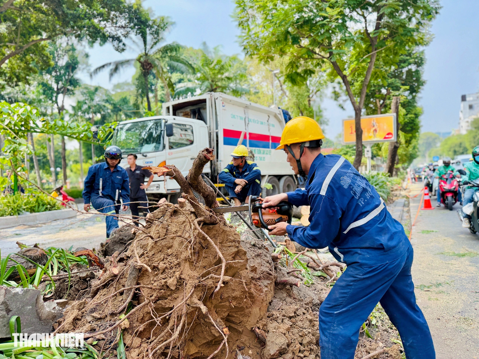 Cải tạo vỉa hè làm đứt rễ, phải đốn hạ hàng loạt cây xanh ở TP.HCM - Ảnh 10.