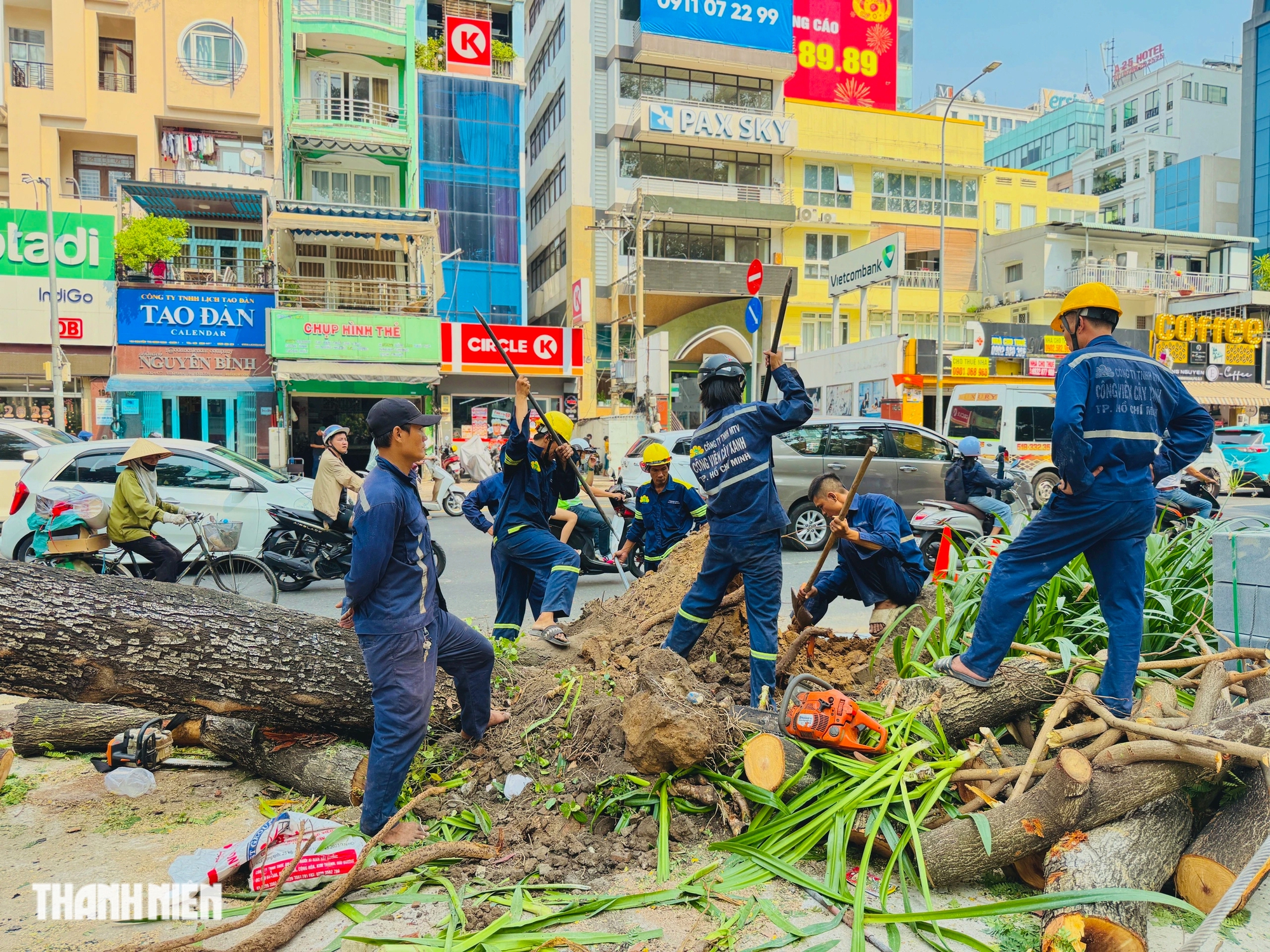 Cải tạo vỉa hè làm đứt rễ, phải đốn hạ hàng loạt cây xanh ở TP.HCM - Ảnh 8.