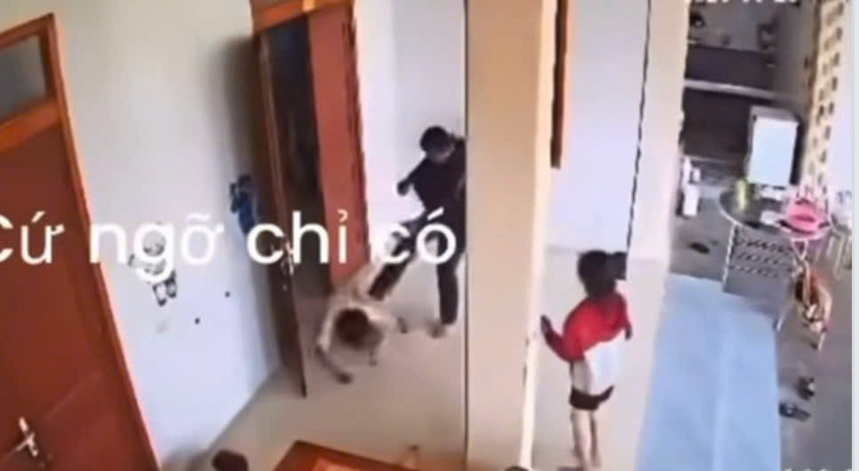 - Ảnh 1. - Ảnh 1.