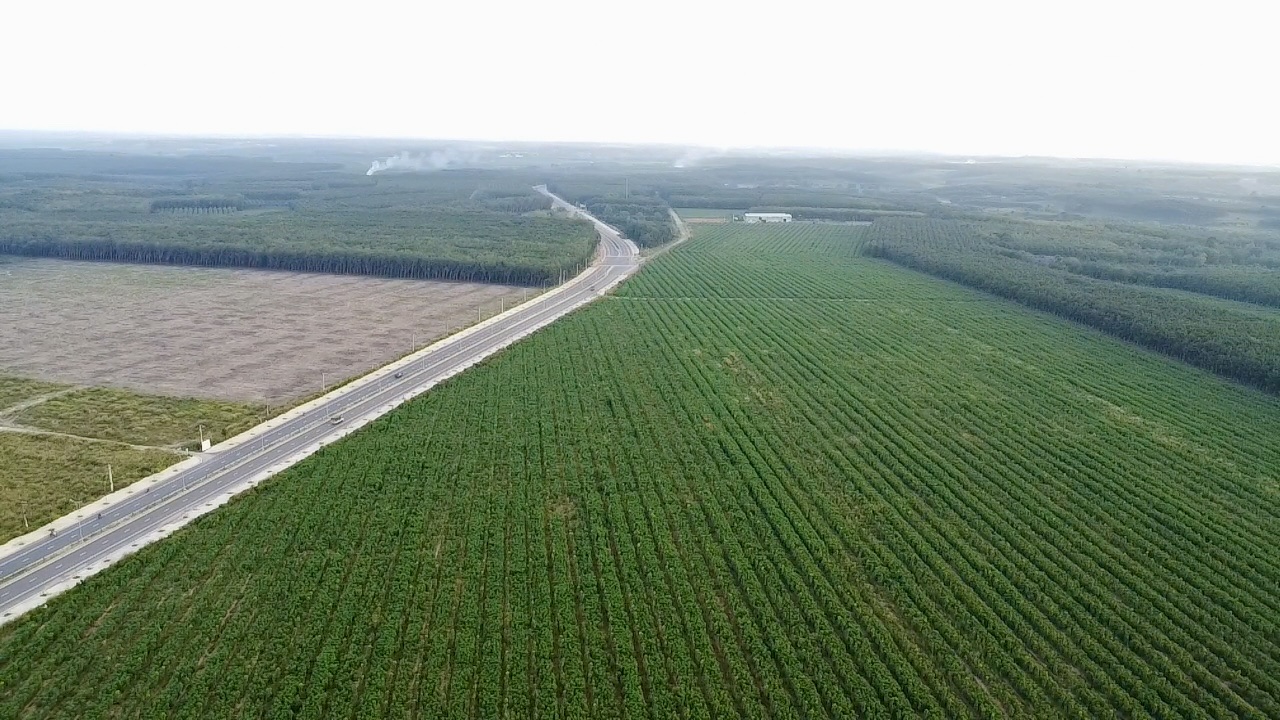 Các huyện, thành phố trực thuộc Bình Dương: H.Phú Giáo đầu mối giao thông kết nối vùng - Ảnh 4.