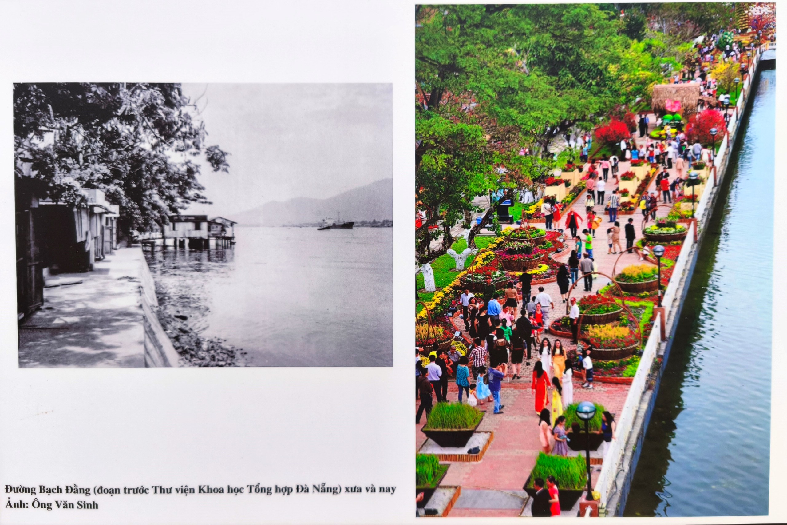 Đà Nẵng 'lột xác' qua những bức ảnh xưa và nay- Ảnh 3. Đà Nẵng 'lột xác' qua những bức ảnh xưa và nay- Ảnh 3.