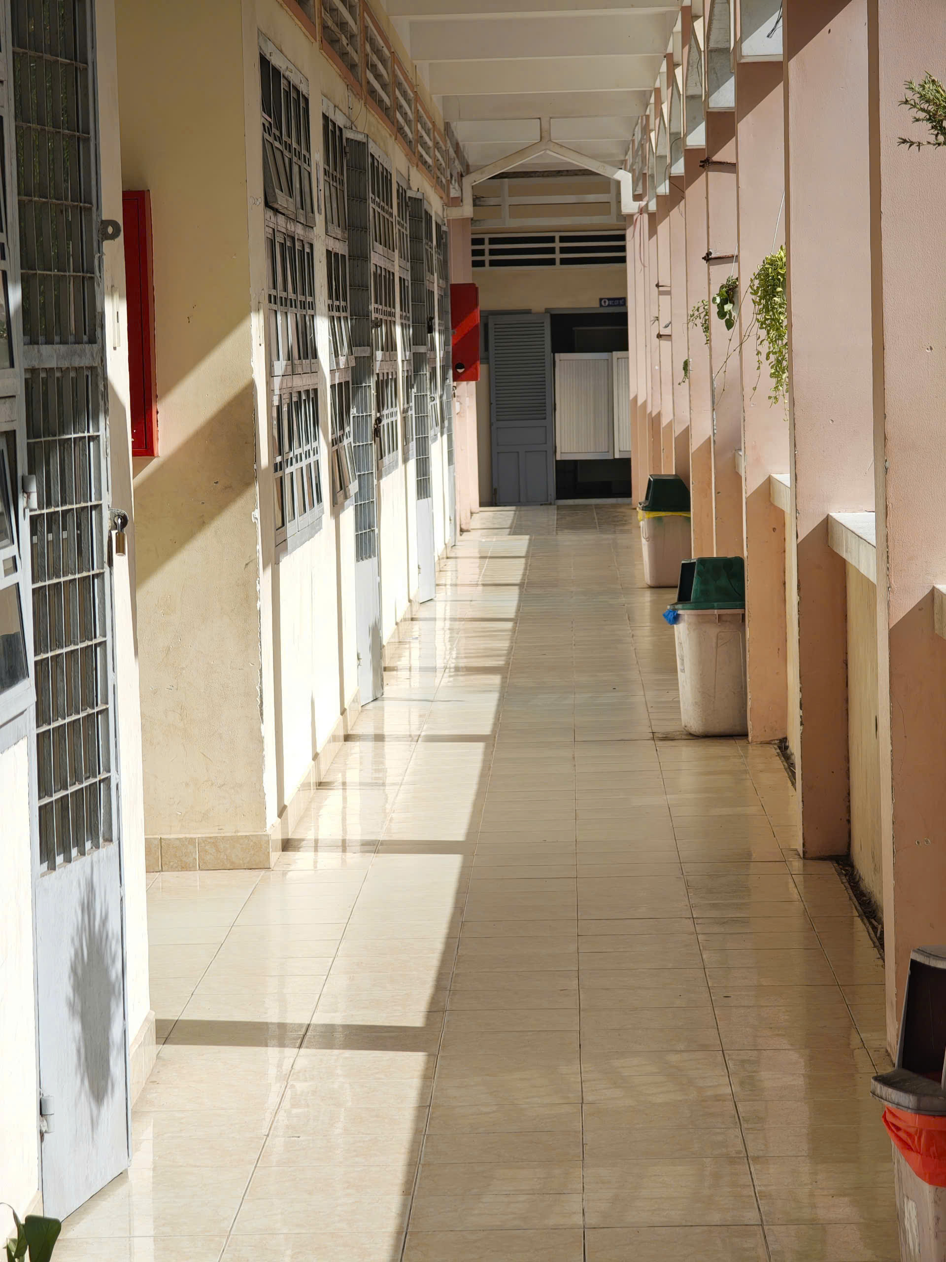 Trường học nổi tiếng vùng Gò Công sắp tròn 70 tuổi- Ảnh 12. Trường học nổi tiếng vùng Gò Công sắp tròn 70 tuổi- Ảnh 12.