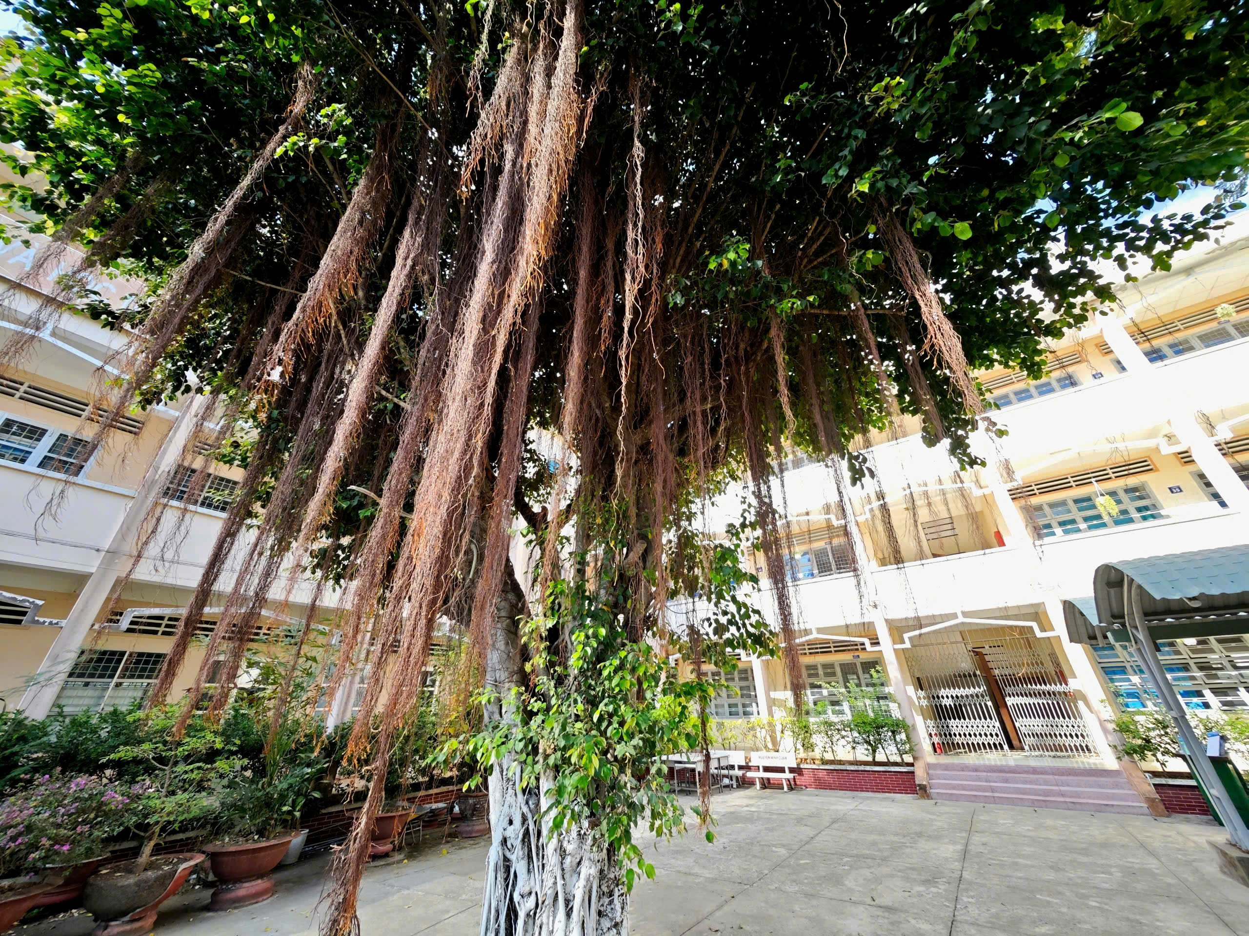 Trường học nổi tiếng vùng Gò Công sắp tròn 70 tuổi- Ảnh 9. Trường học nổi tiếng vùng Gò Công sắp tròn 70 tuổi- Ảnh 9.