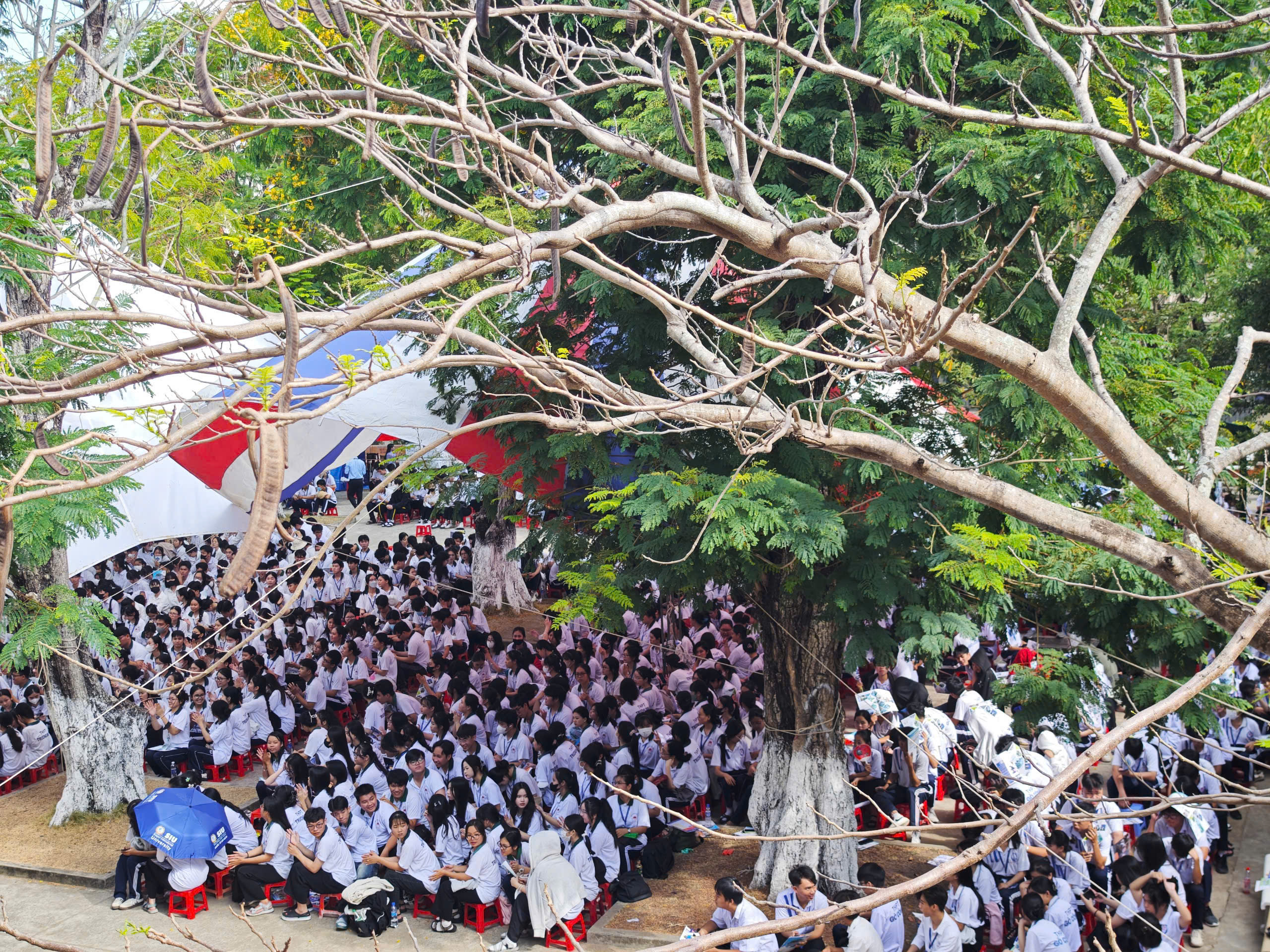 Trường học nổi tiếng vùng Gò Công sắp tròn 70 tuổi- Ảnh 2. Trường học nổi tiếng vùng Gò Công sắp tròn 70 tuổi- Ảnh 2.