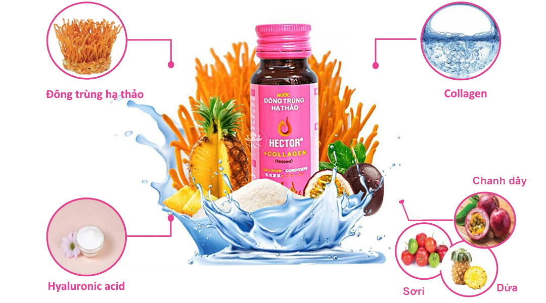 Đông trùng hạ thảo dạng nước có tốt không? Sản phẩm nào tìm mua nhiều hiện nay? - Ảnh 3.