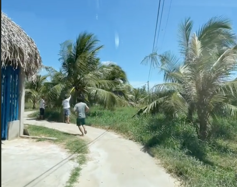 Người miền Tây chặt cành dừa, gác dây điện mở đường xe cấp cứu hút triệu view - Ảnh 2.
