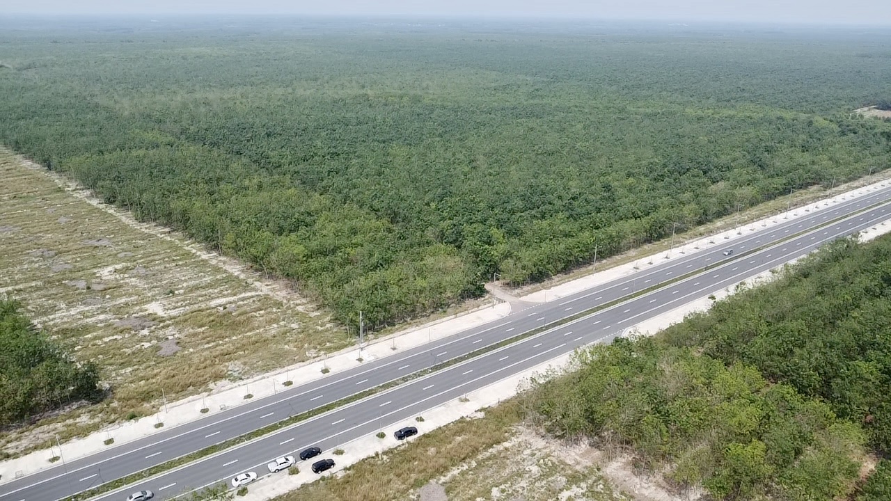 Cao tốc TP.HCM - Thủ Dầu Một - Chơn Thành có hơn 12 km xuyên rừng cao su- Ảnh 3.