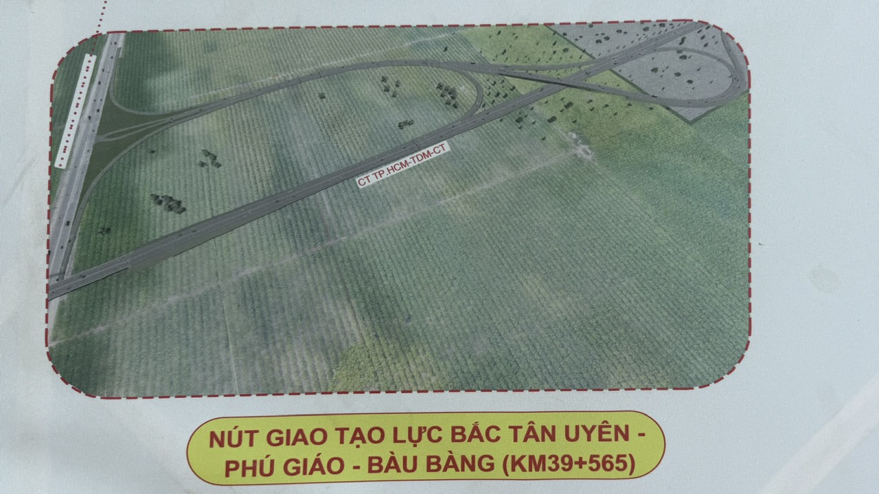 Cao tốc TP.HCM - Thủ Dầu Một - Chơn Thành có hơn 12 km xuyên rừng cao su- Ảnh 5.