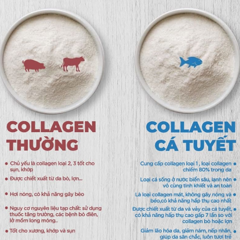 Collagen chiết xuất từ da cá biển sâu có phải là xu hướng dưỡng da khỏe đẹp? - Ảnh 3.