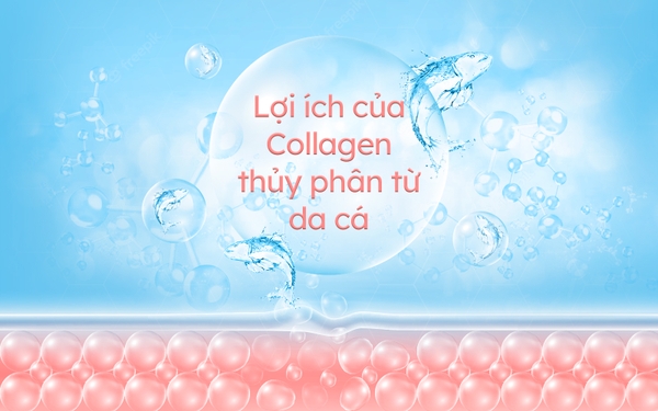 Collagen chiết xuất từ da cá biển sâu có phải là xu hướng dưỡng da khỏe đẹp? - Ảnh 5.