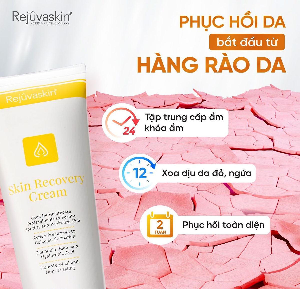 - Ảnh 1. - Ảnh 1.