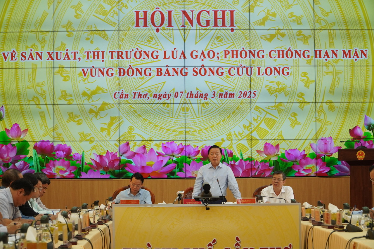 Phó thủ tướng bàn cách hỗ trợ nông dân trồng lúa tại ĐBSCL- Ảnh 1. Phó thủ tướng bàn cách hỗ trợ nông dân trồng lúa tại ĐBSCL- Ảnh 1.