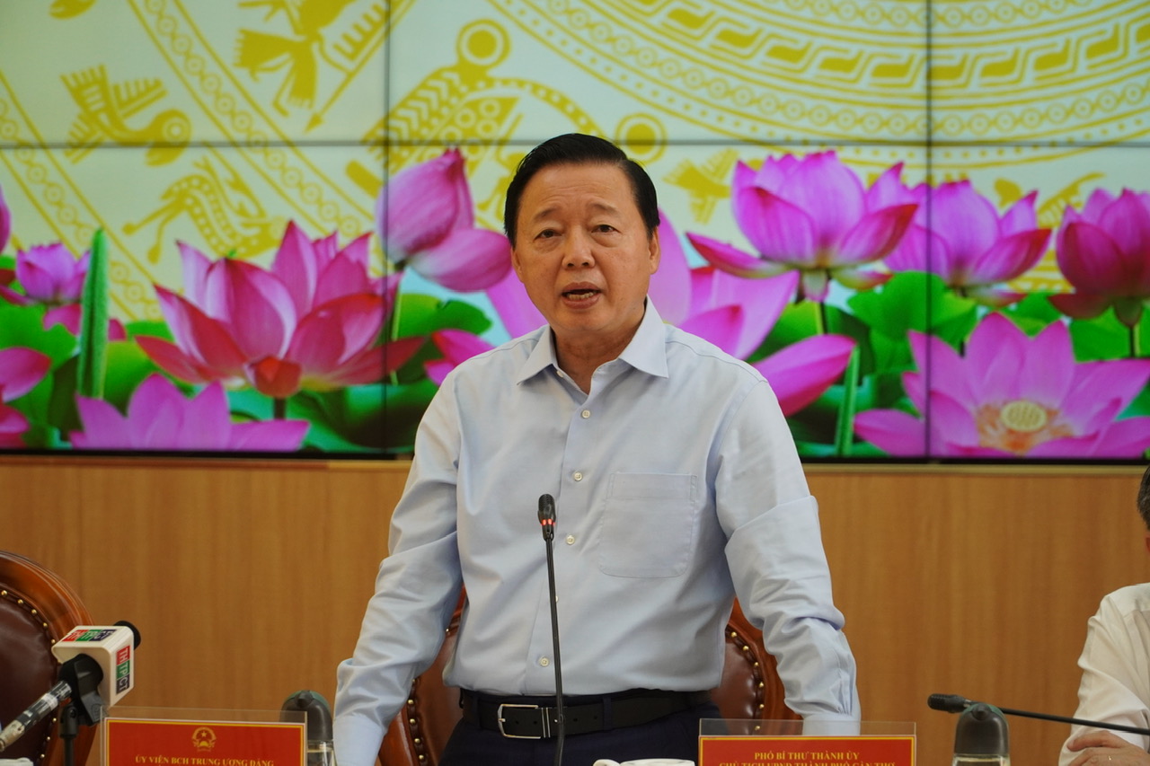 Phó thủ tướng bàn cách hỗ trợ nông dân trồng lúa tại ĐBSCL- Ảnh 3. Phó thủ tướng bàn cách hỗ trợ nông dân trồng lúa tại ĐBSCL- Ảnh 3.