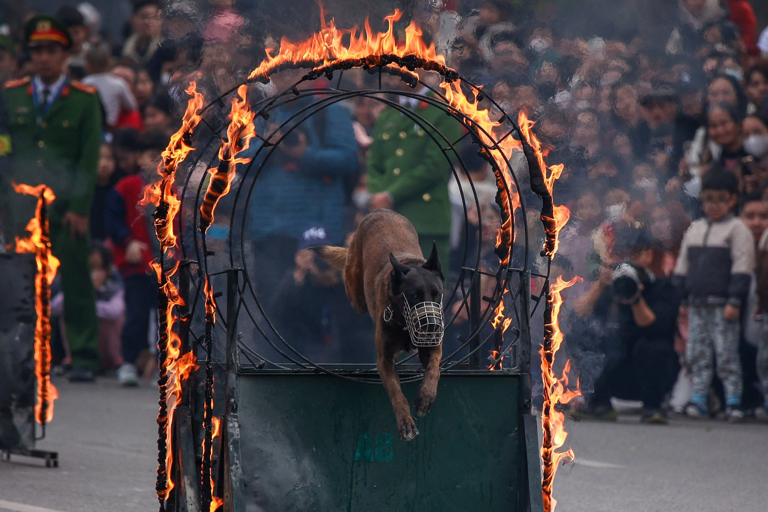 Kỵ binh, cảnh khuyển tr&igrave;nh diễn tr&ecirc;n phố đi bộ hồ Gươm- Ảnh 23.