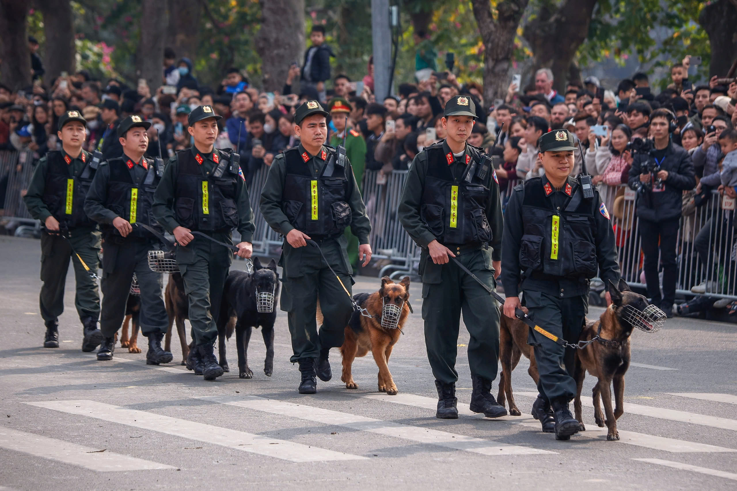 Kỵ binh, cảnh khuyển tr&igrave;nh diễn tr&ecirc;n phố đi bộ hồ Gươm- Ảnh 15.