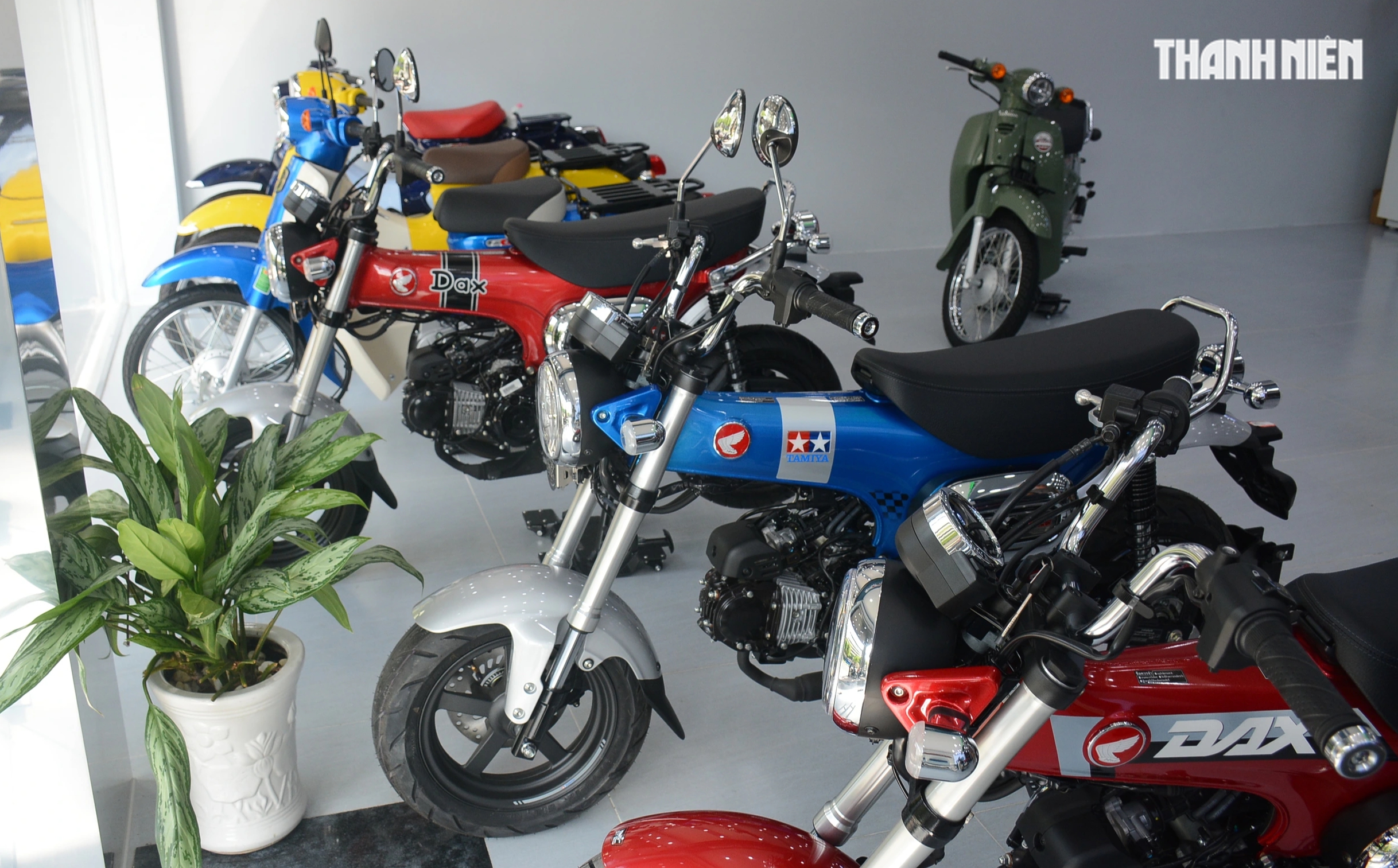 Th&ecirc;m 1,3 triệu xe m&aacute;y mới lăn b&aacute;nh tại Việt Nam trong nửa đầu năm 2025- Ảnh 1.