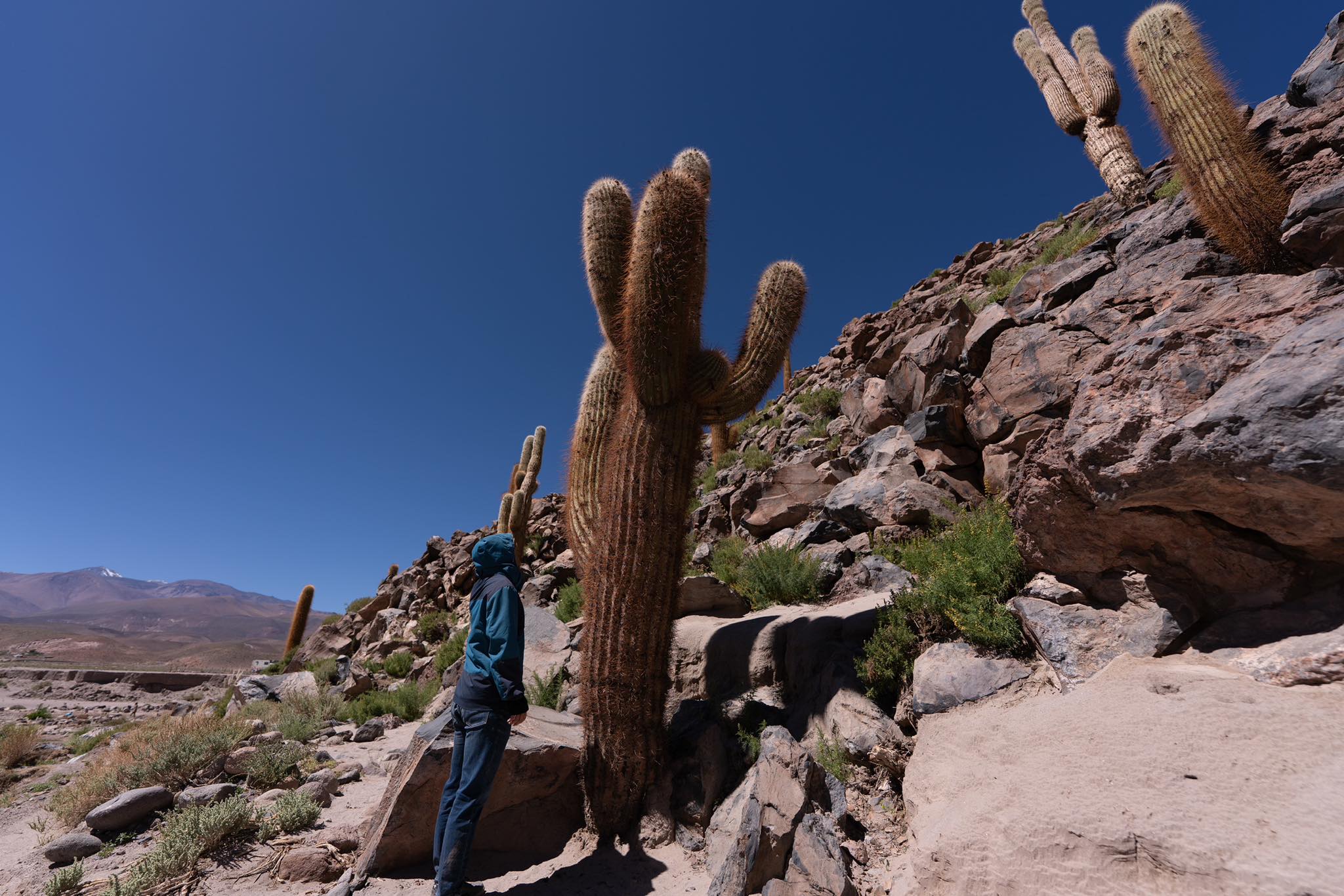 Chàng trai Việt khám phá bầu trời tối nhất thế giới tại sa mạc Atacama , Chile - Ảnh 2. Chàng trai Việt khám phá bầu trời tối nhất thế giới tại sa mạc Atacama , Chile - Ảnh 2.