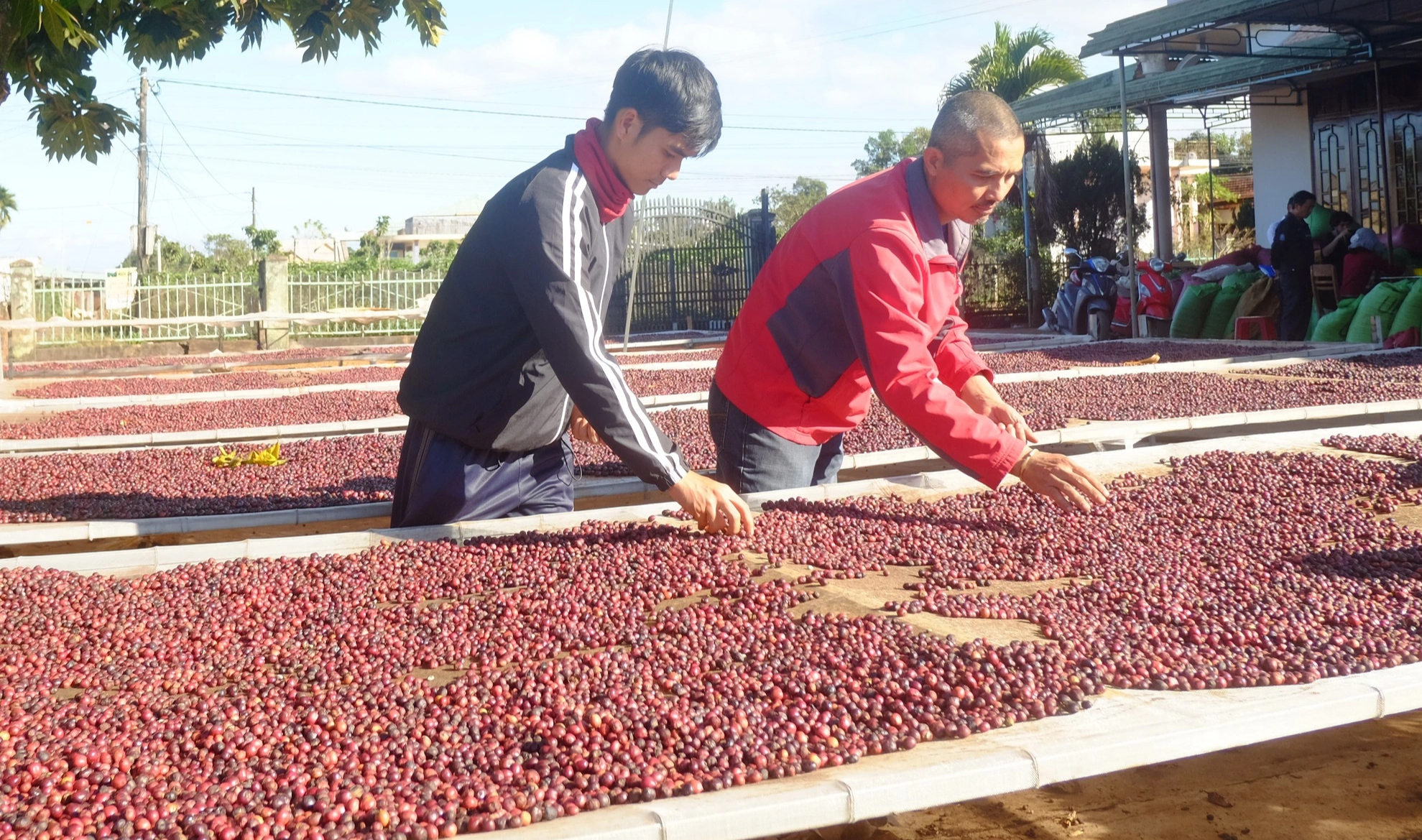 'Bơm' 100.000 tỉ đồng tín dụng ưu đãi cho nông, lâm, thủy sản- Ảnh 1. 'Bơm' 100.000 tỉ đồng tín dụng ưu đãi cho nông, lâm, thủy sản- Ảnh 1.