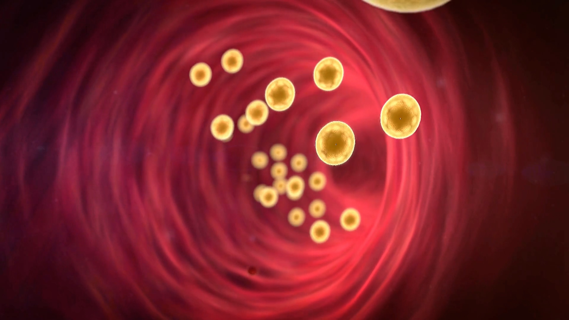Bữa sáng giúp người lớn tuổi kiểm soát cholesterol - Ảnh 1.