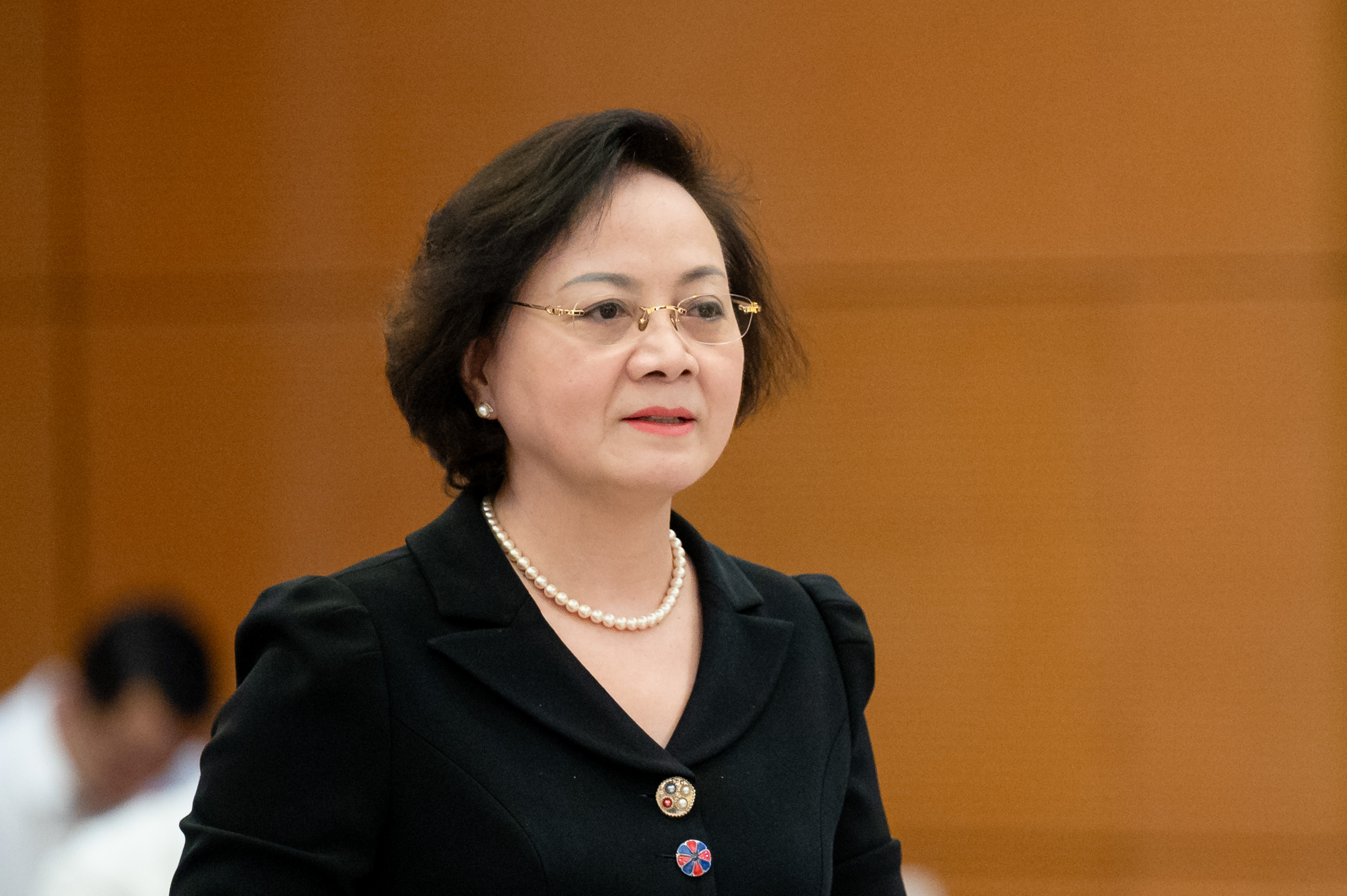 Phó chủ tịch Quốc hội: 'Có tiền đâu mà tăng lương' - Ảnh 1.