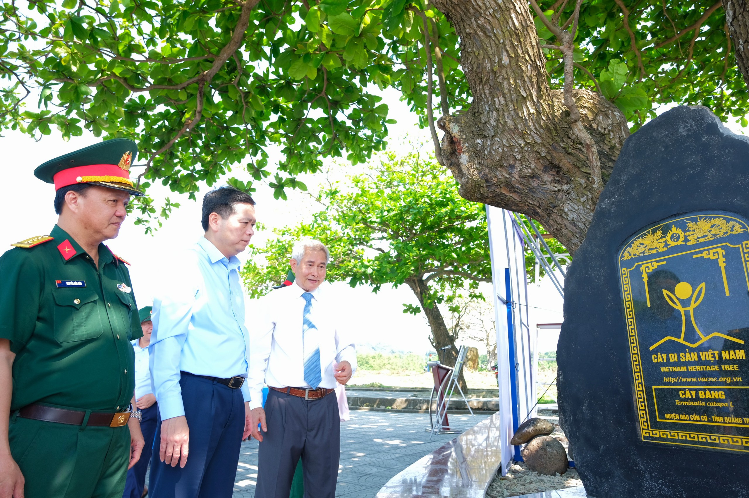 17 'nhân chứng xanh' trên đảo Cồn Cỏ được vinh danh - Ảnh 1.