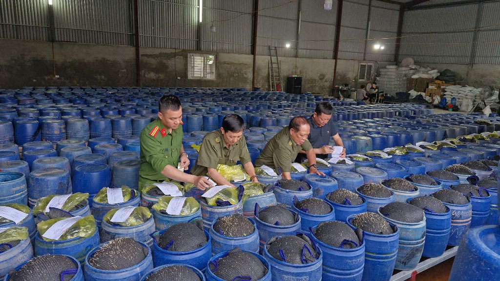 Phát hiện hàng chục tấn giá đỗ độc hại ở Nghệ An - Ảnh 1.