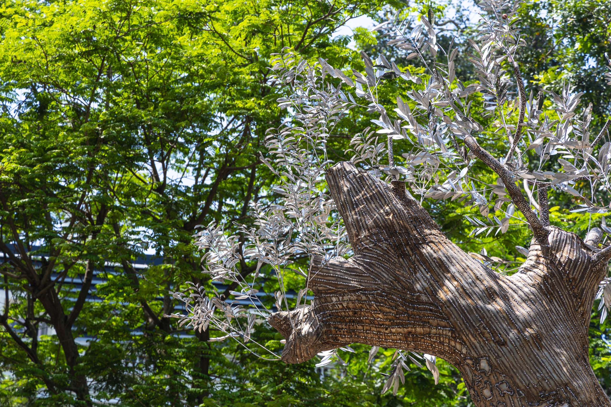 Cận cảnh t&aacute;c phẩm nghệ thuật từ c&acirc;y x&agrave; cừ đổ trong b&atilde;o Yagi - Ảnh 2.