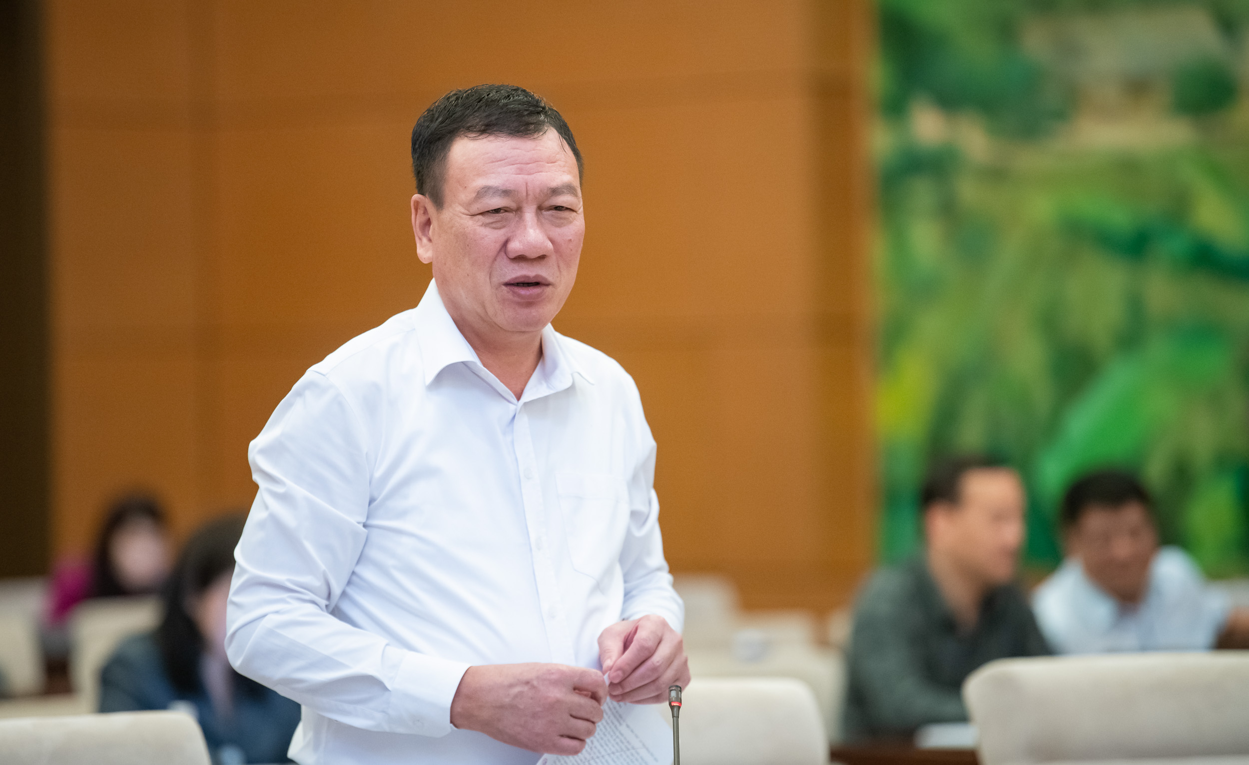 Tổng Thanh tra Chính phủ: 'Bây giờ sẽ không có thanh tra chuyên ngành' - Ảnh 1.