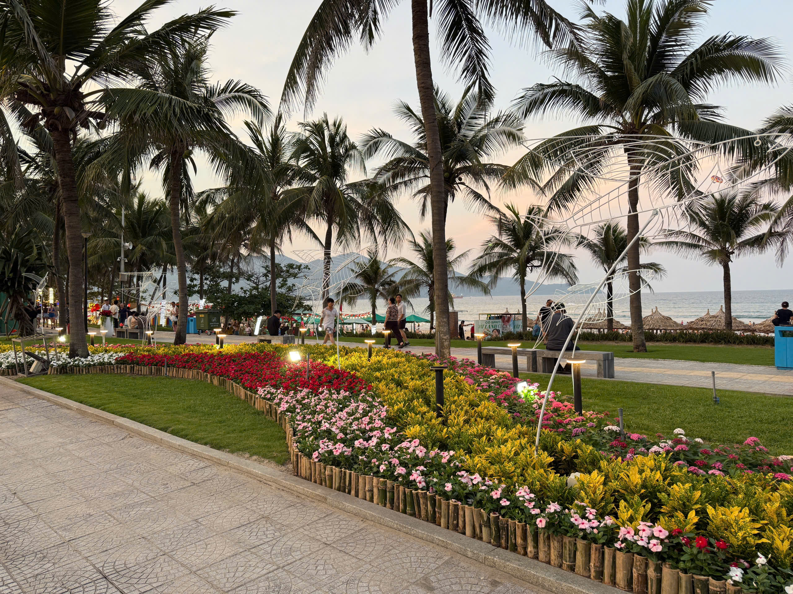 Đường ven biển hóa đường hoa, người người nô nức check-in- Ảnh 7. Đường ven biển hóa đường hoa, người người nô nức check-in- Ảnh 7.