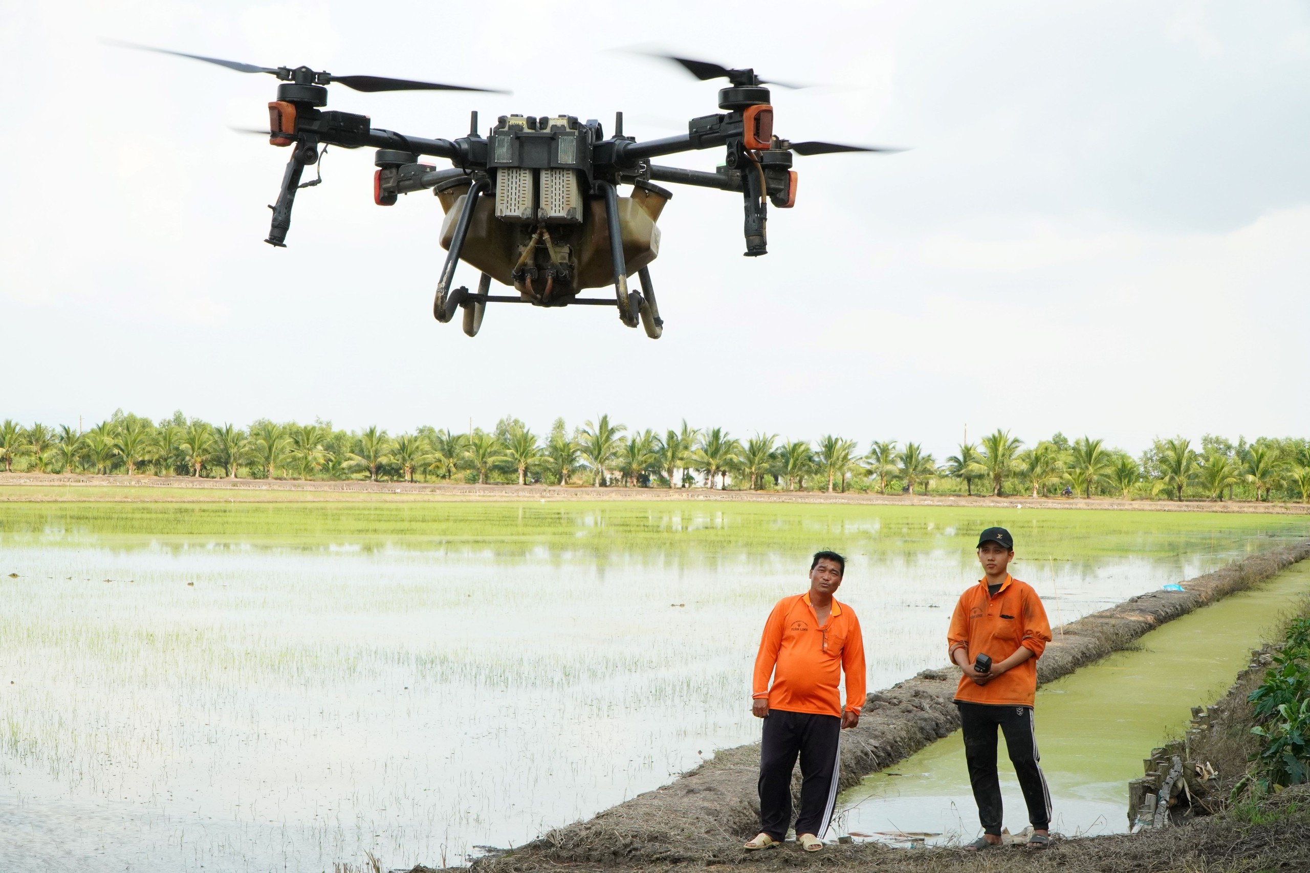 Tuấn 'hai lúa' trên cánh đồng 500 ha - Ảnh 1.
