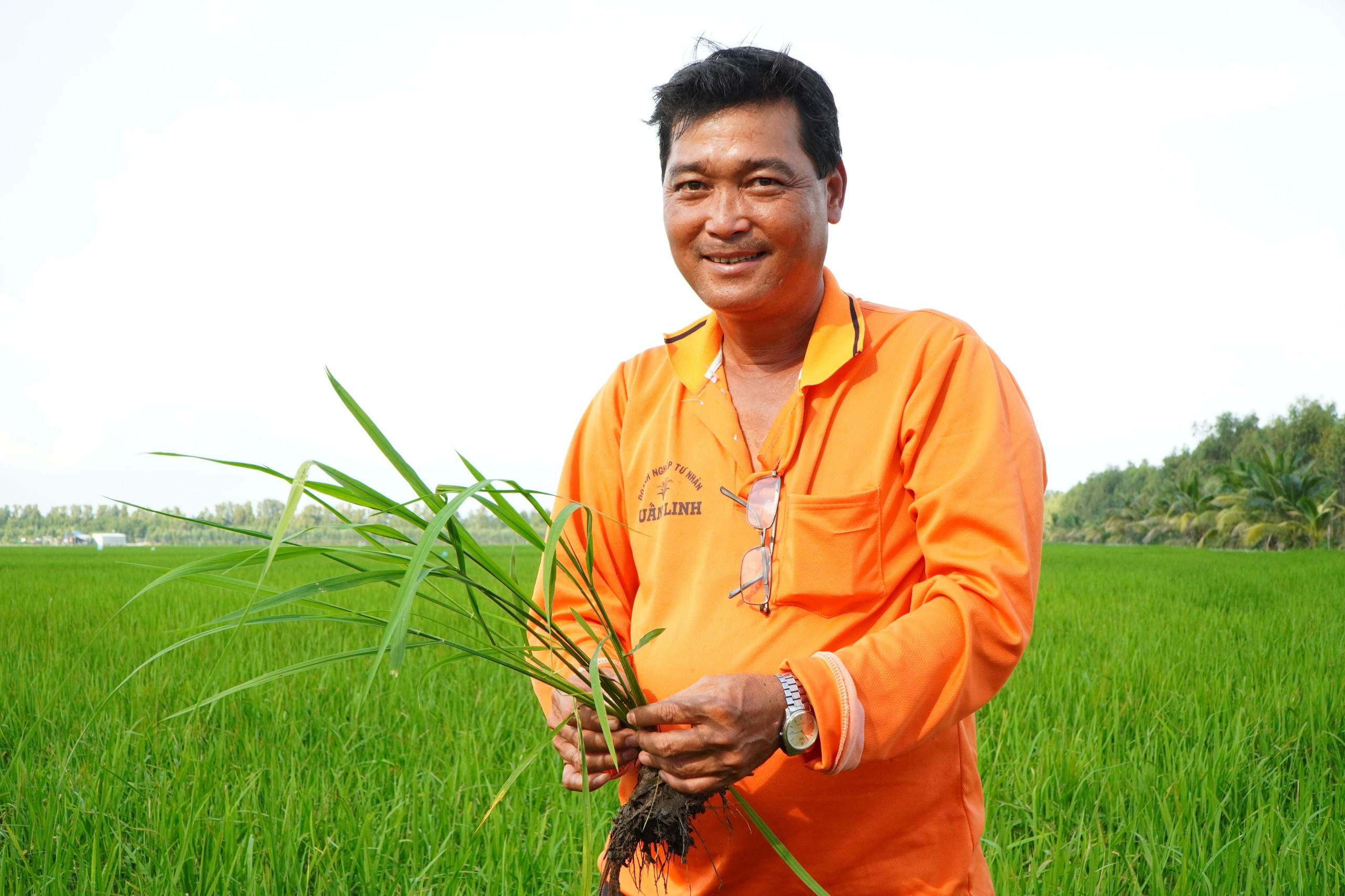 Tuấn 'hai lúa' trên cánh đồng 500 ha - Ảnh 5.