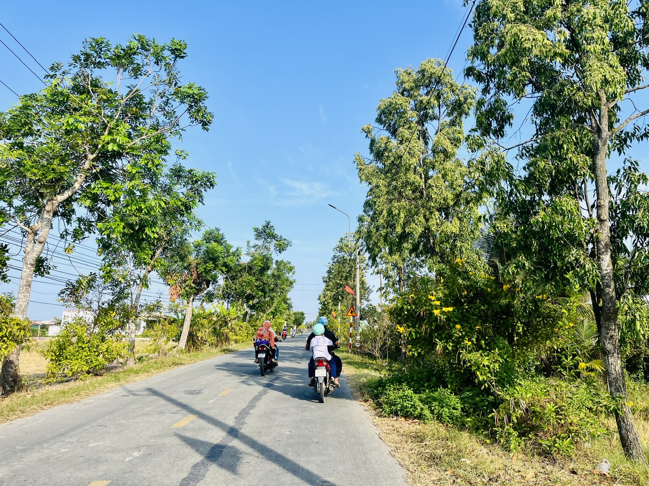 Điện về nhịp sống reo vui Điện về nhịp sống reo vui