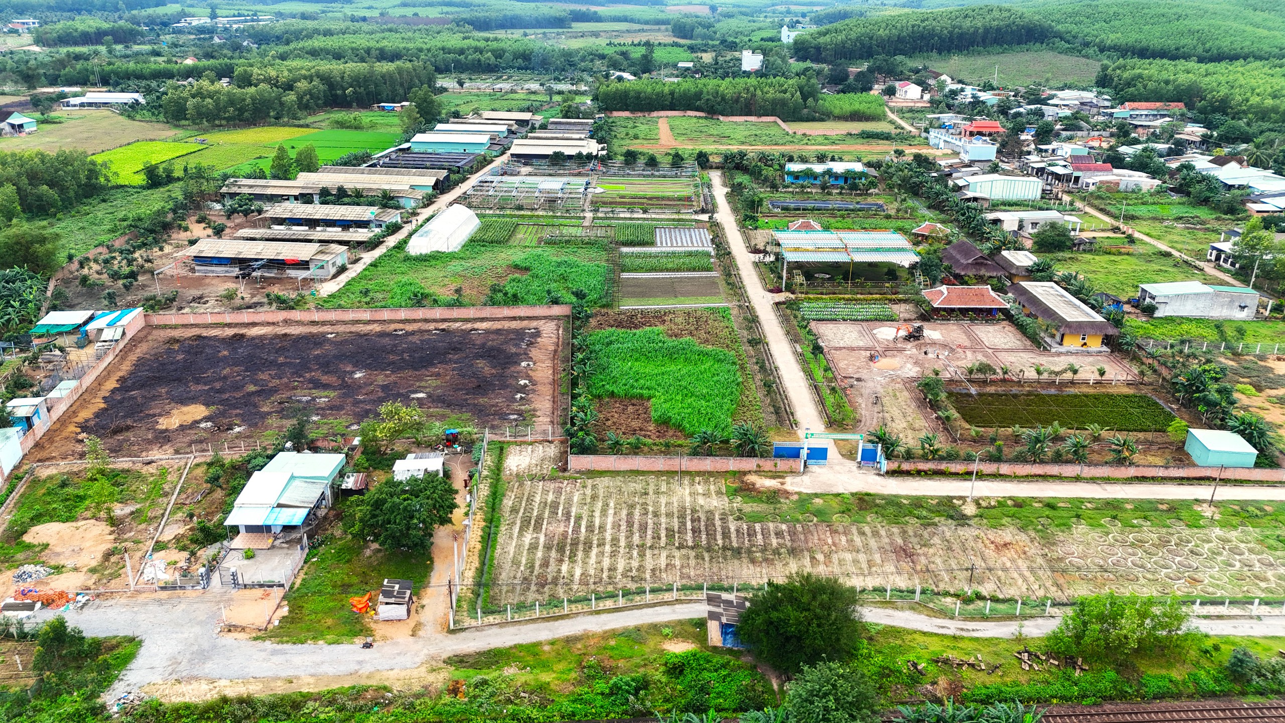 Dừng hoạt động dự án rau an toàn tại Bình Định gây xôn xao - Ảnh 1. Dừng hoạt động dự án rau an toàn tại Bình Định gây xôn xao - Ảnh 1.