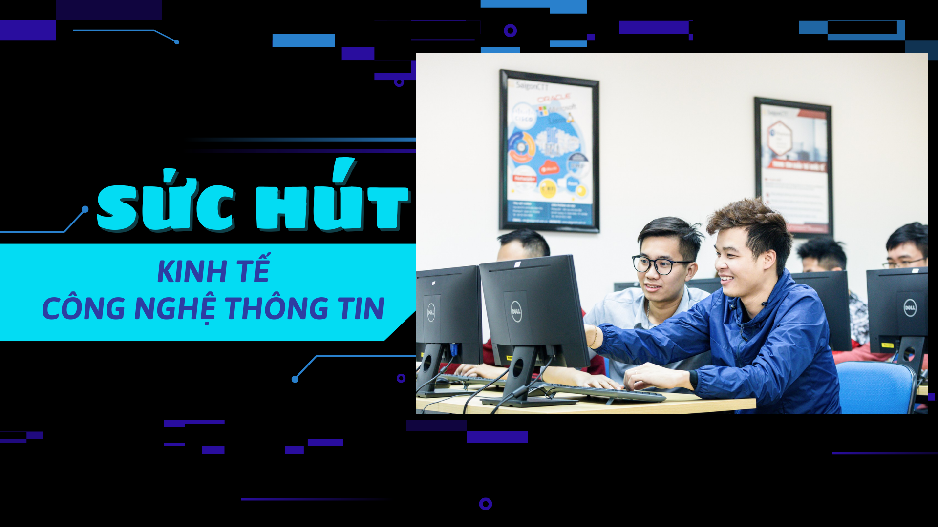 Sức hút của khối ngành kinh tế, công nghệ thông tin: ‘Làm việc tại nhà, lương tính bằng đô’ - Ảnh 1.