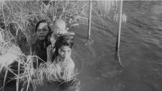 Tiết lộ kiệt t&aacute;c C&aacute;nh đồng hoang: Phim Việt kinh điển với kinh ph&iacute; bất ngờ - Ảnh 1.