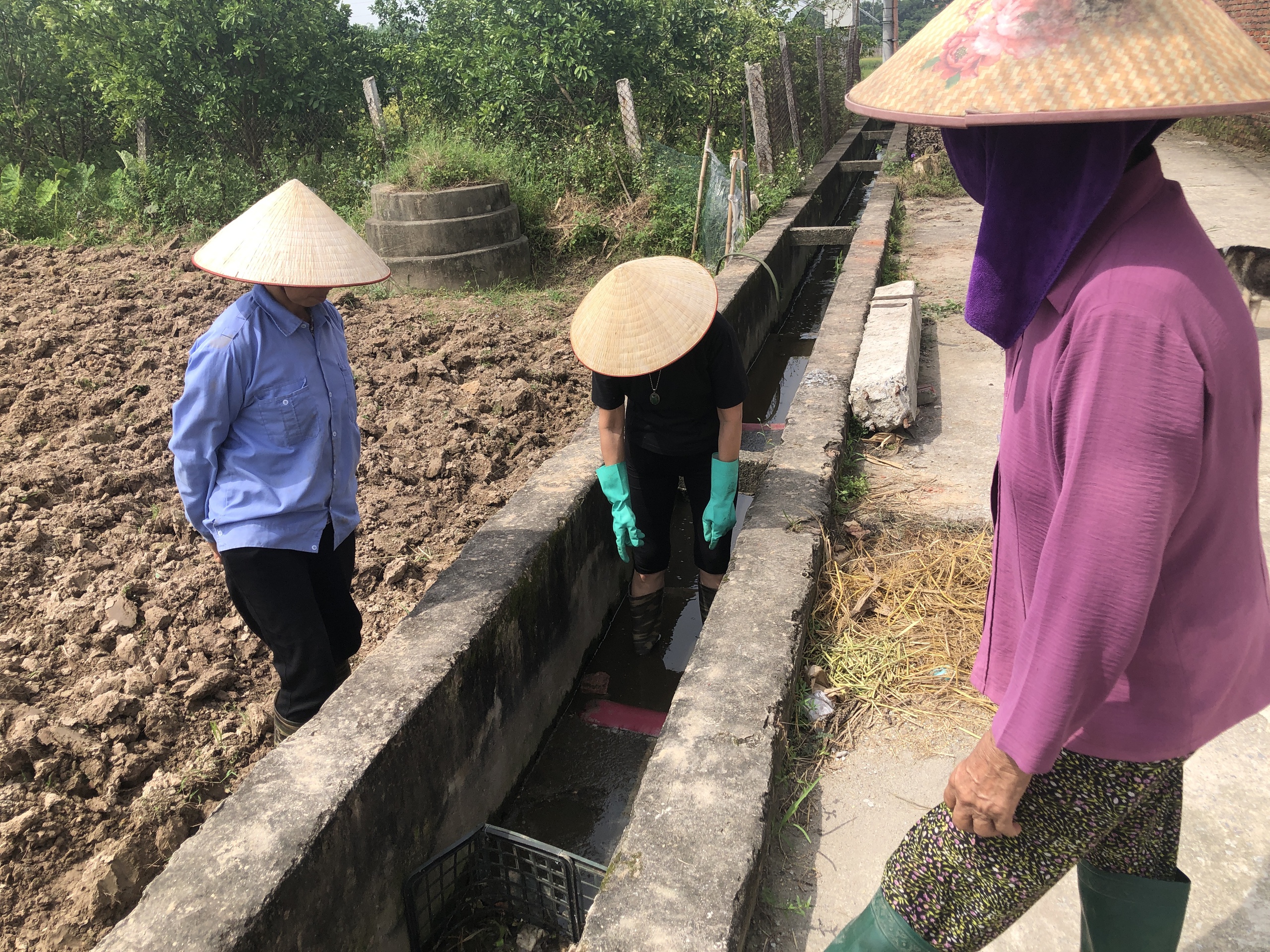 Chuyện của nước số 47: Nước và giải pháp vi sinh bản địa - Ảnh 1.