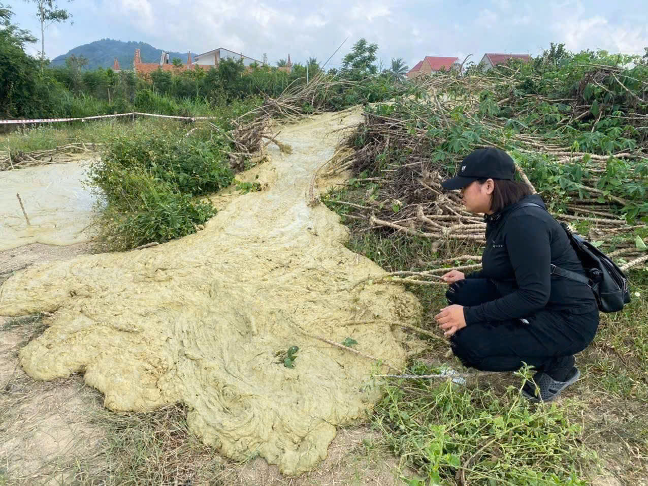 Phú Yên xuất hiện hiện tượng lạ trào bùn nước sau 46 năm - Ảnh 1.