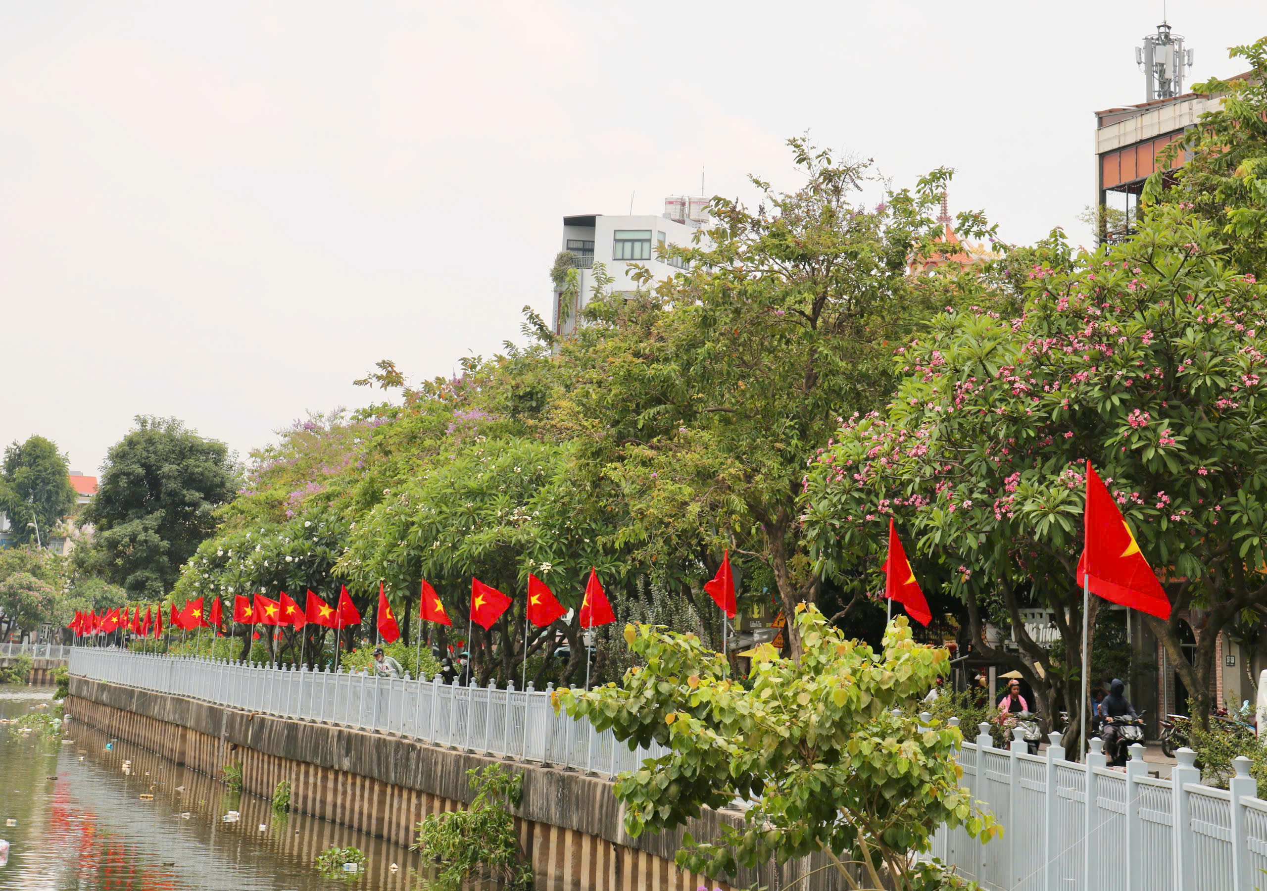 TP.HCM rợp cờ đỏ sao v&agrave;ng: &lsquo;Nh&igrave;n l&agrave; thấy đầy tự h&agrave;o&rsquo; - Ảnh 5.