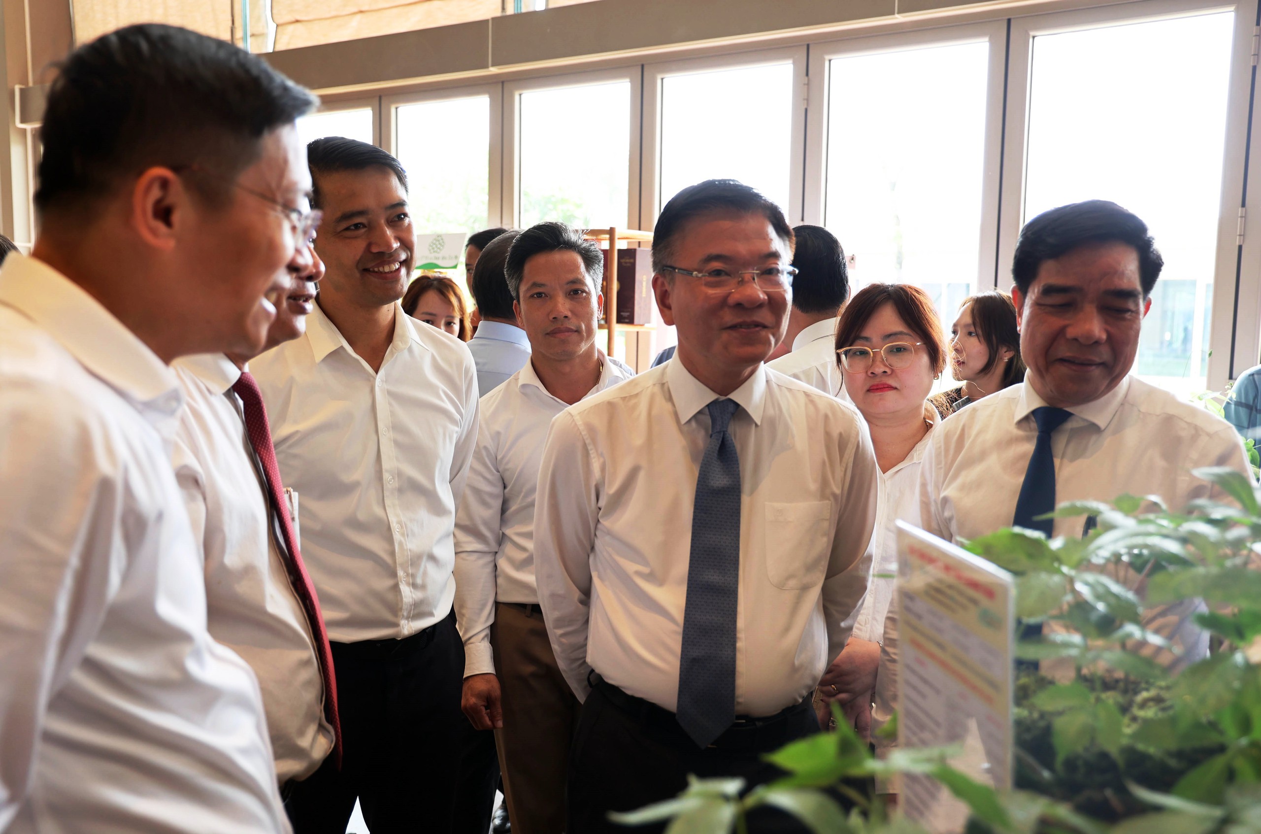 Phó thủ tướng: 'Cần nhìn lớn, nhìn xa hơn để phát triển ngành công nghiệp dược liệu' - Ảnh 5.